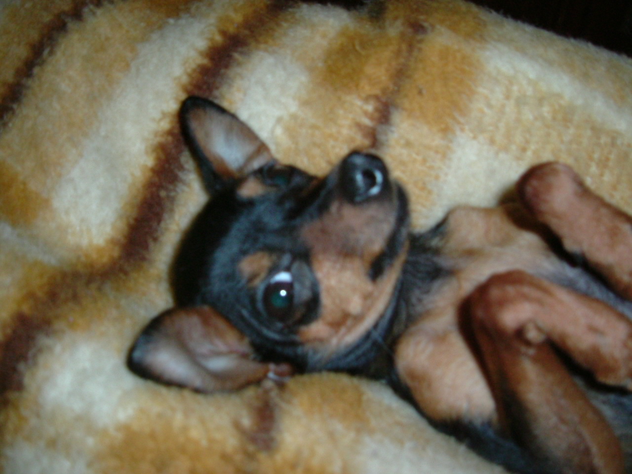 2005_0430SisiBridget0014.JPG