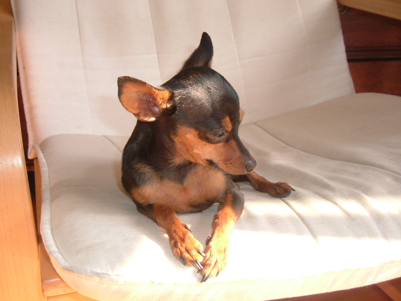 KRYSAŘÍCI červenec 2006 009.jpg
