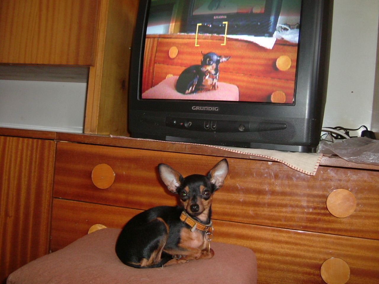 2005_0320Image0013.JPG