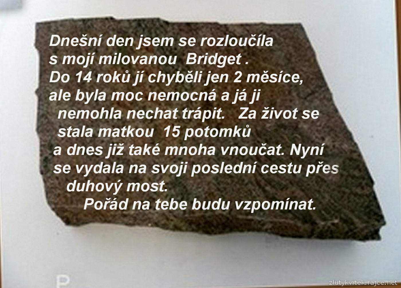 2018-05).....