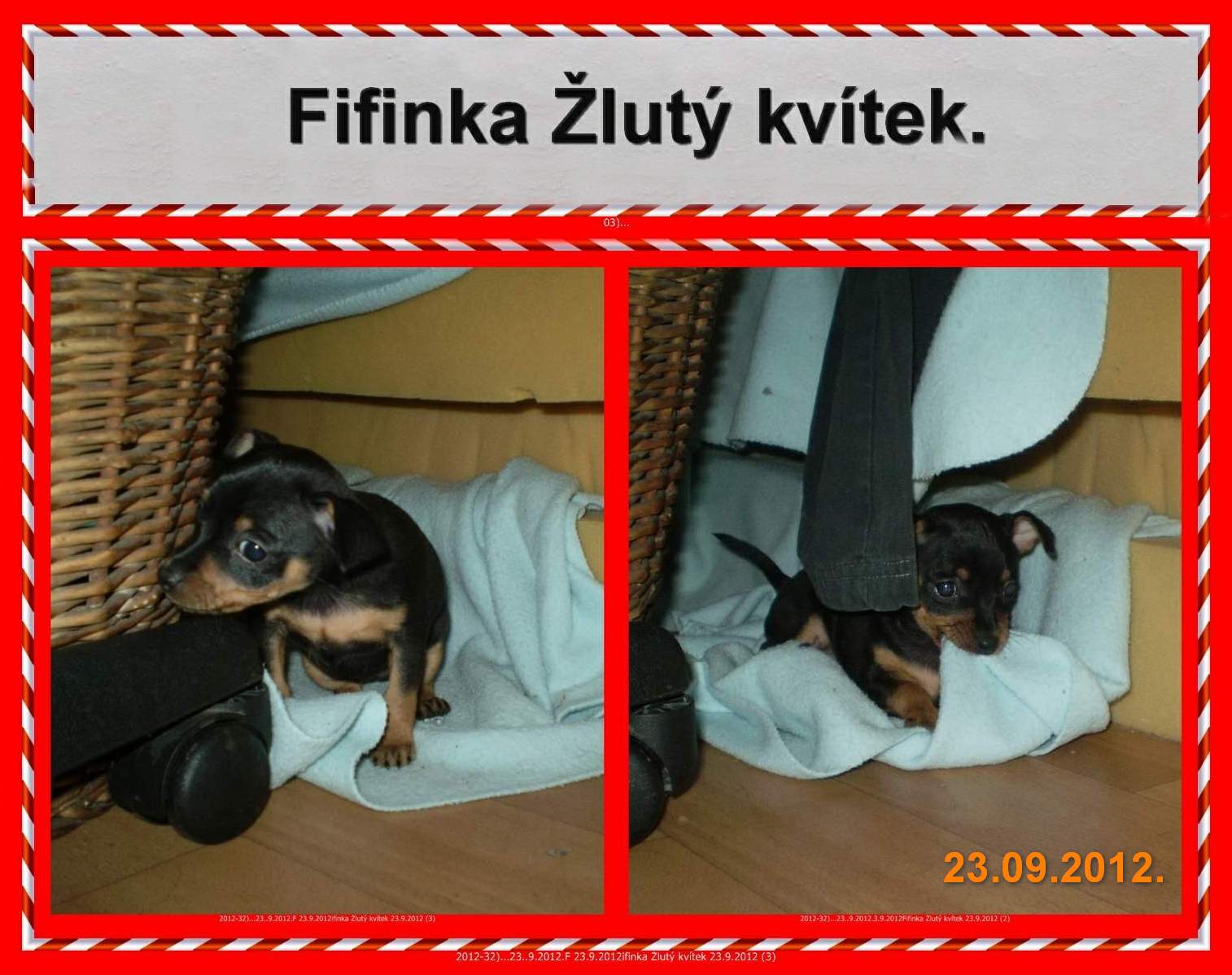 2012-13)...