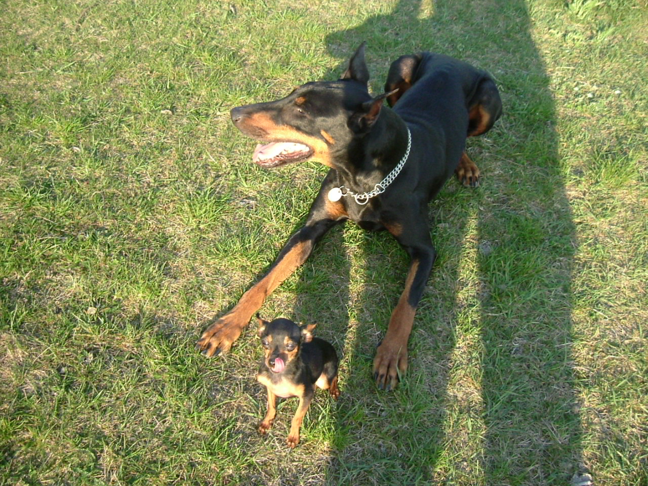 DSCF4173.jpg